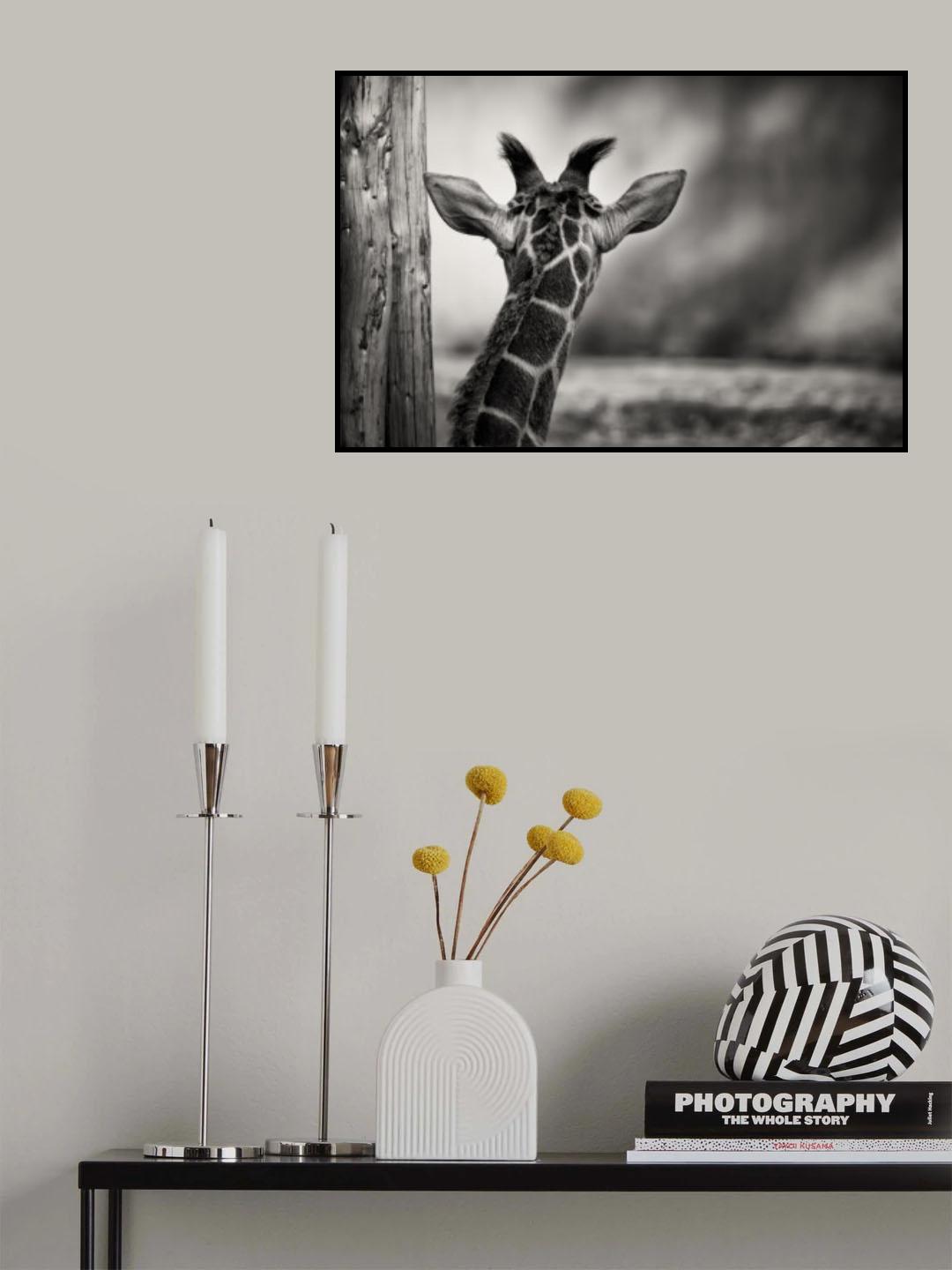 look forward Poster och Canvastavla