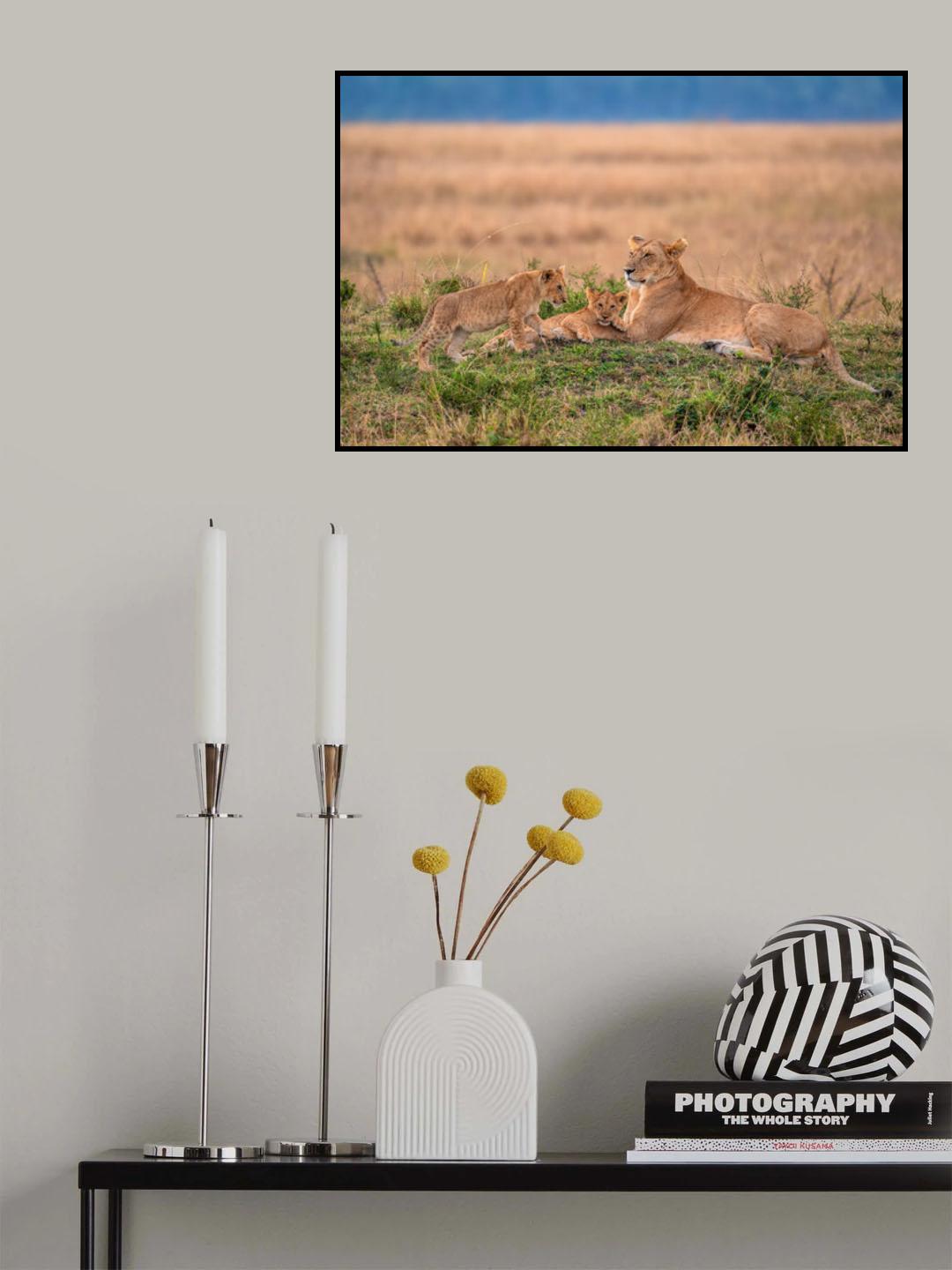 Lady Yaya Poster och Canvastavla
