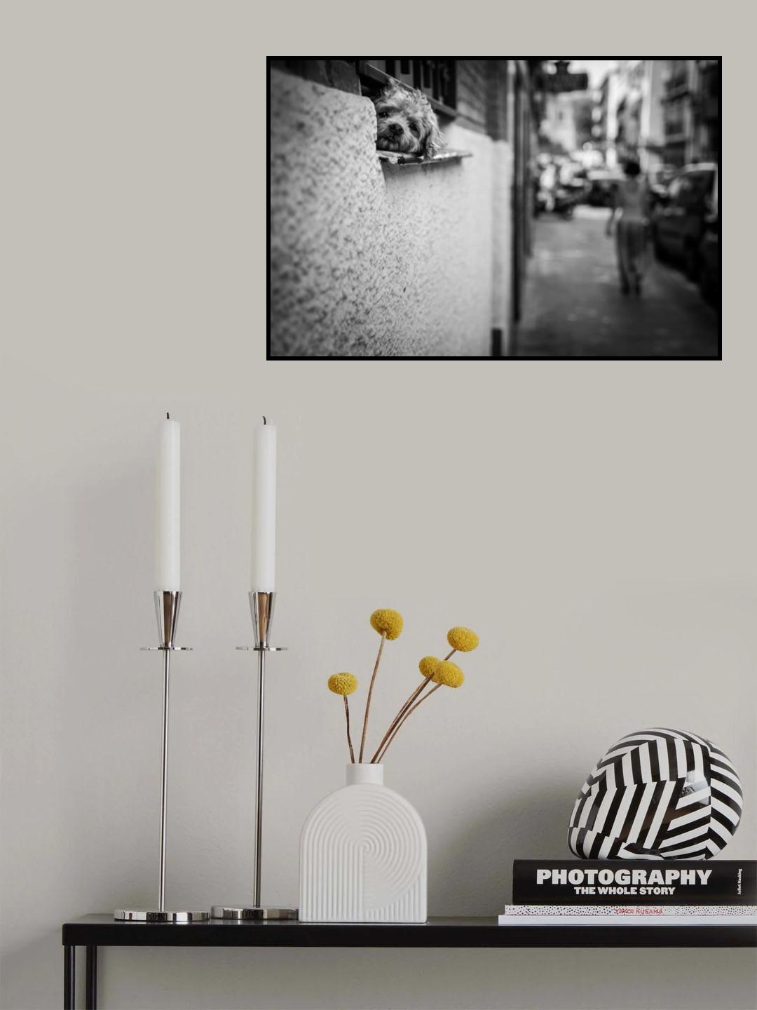 Dog's life Poster och Canvastavla