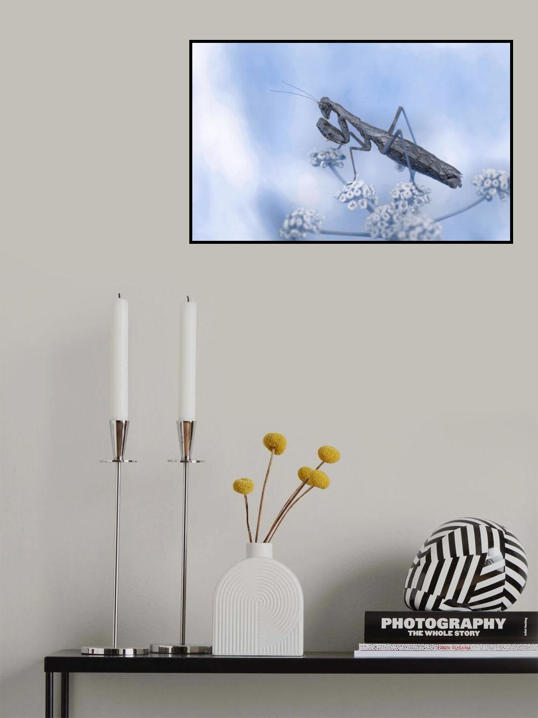 Prayers to sky... Poster och Canvastavla