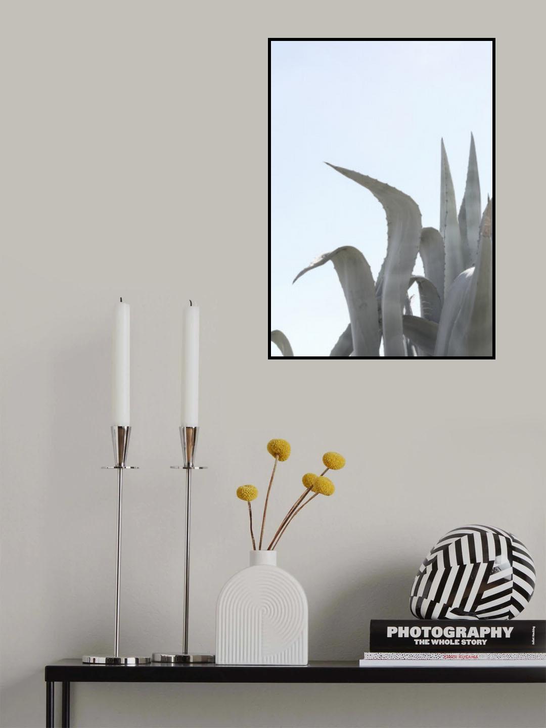 Charming Agave Poster och Canvastavla