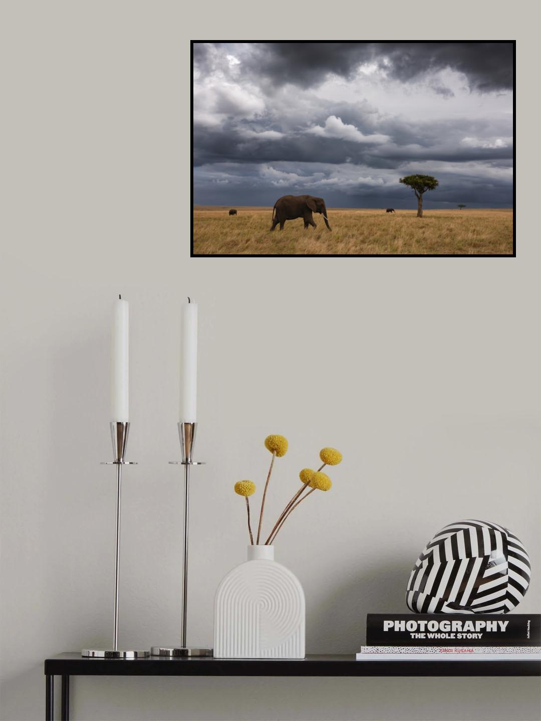 African sky Poster och Canvastavla