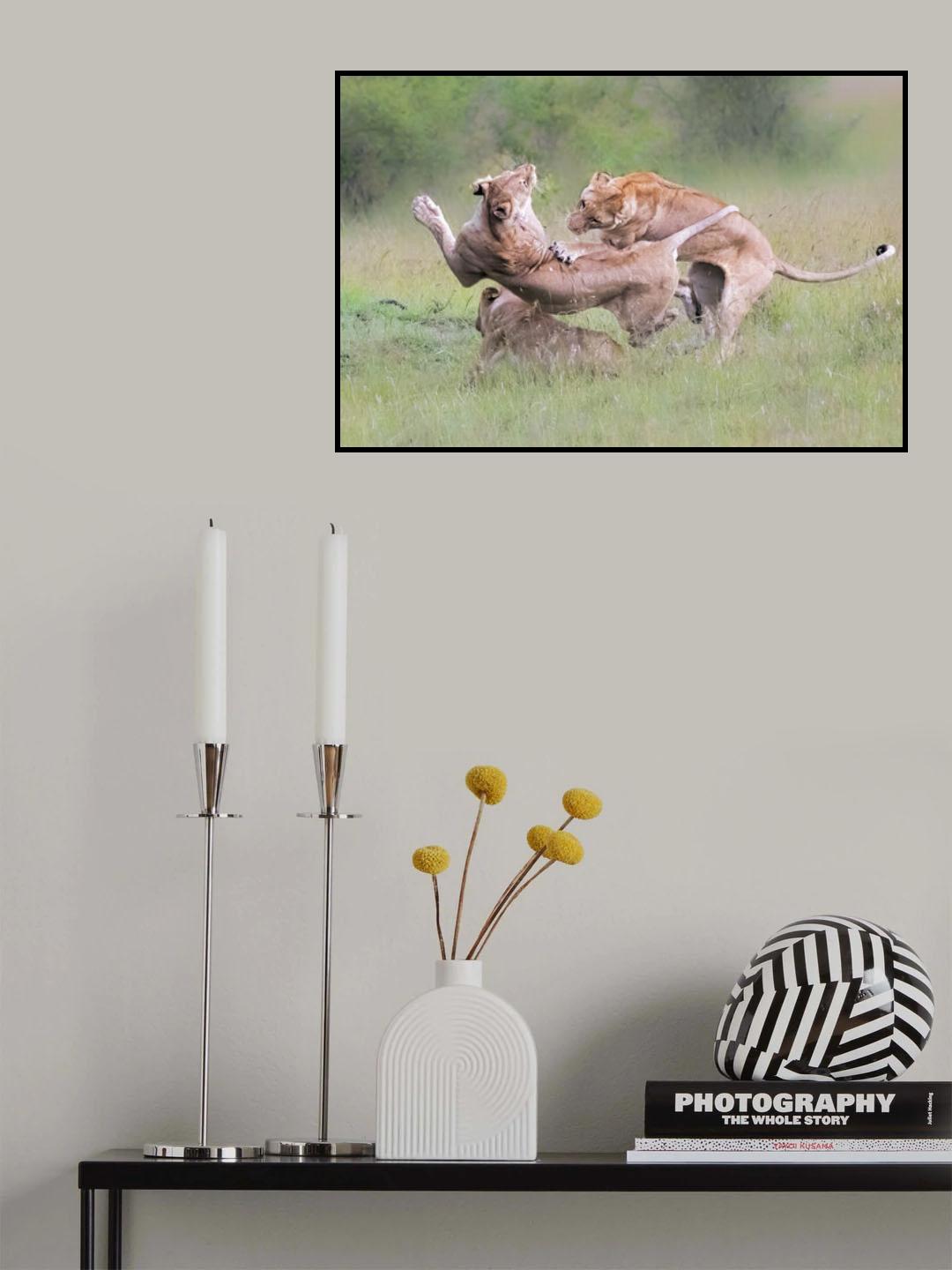 Fighting for Territory Poster och Canvastavla