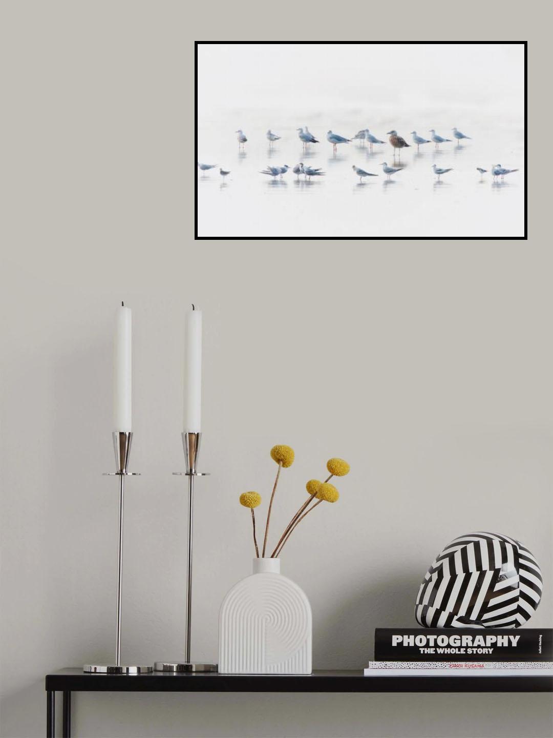 coexistence Poster och Canvastavla