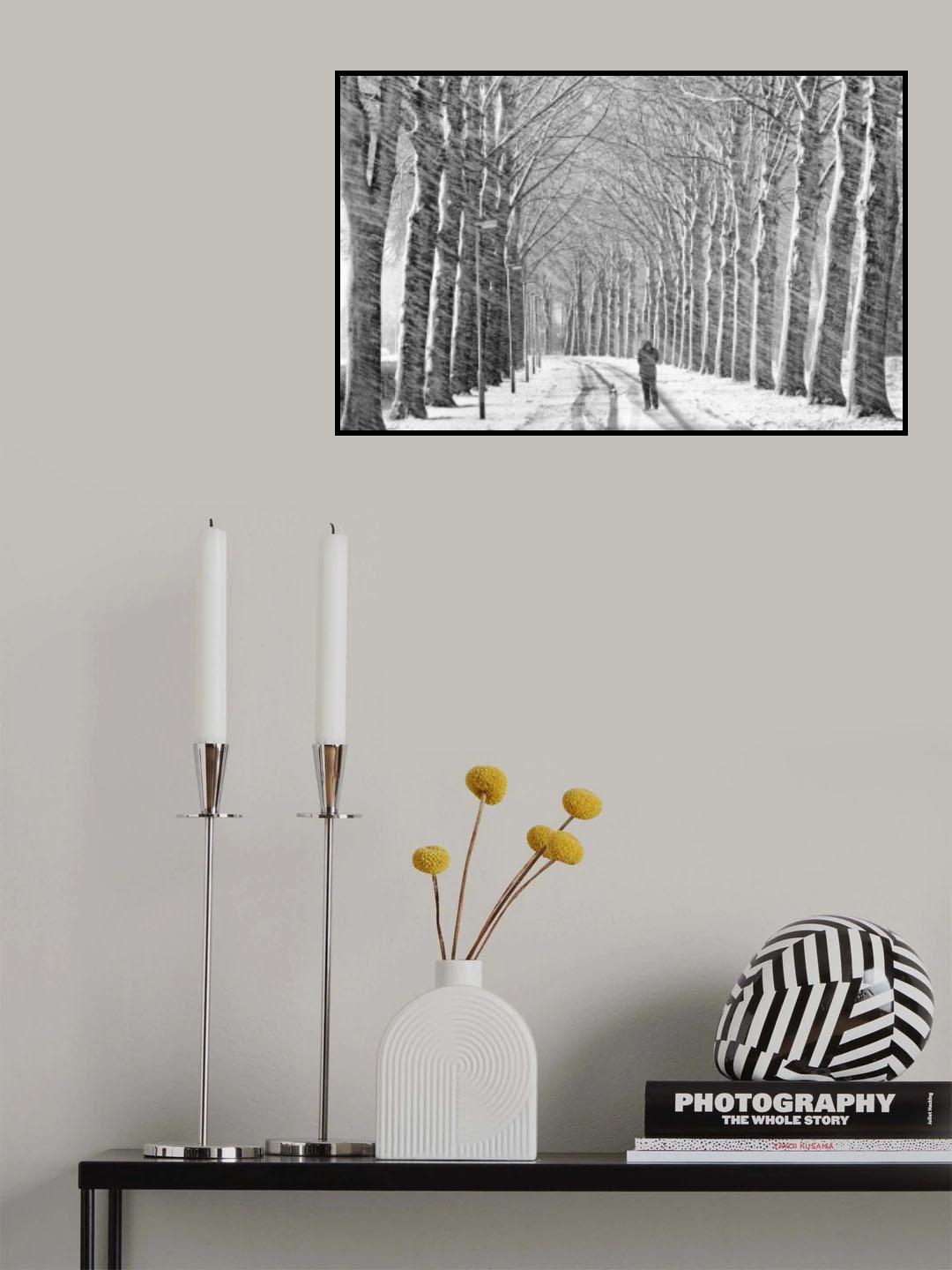 Snowwalk Poster och Canvastavla