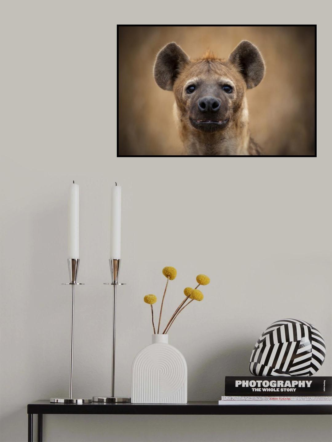Eye Contact Poster och Canvastavla