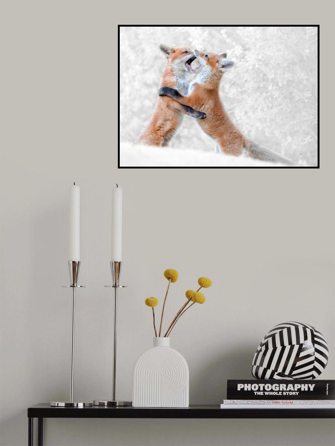Red Fox Kits playing Poster och Canvastavla