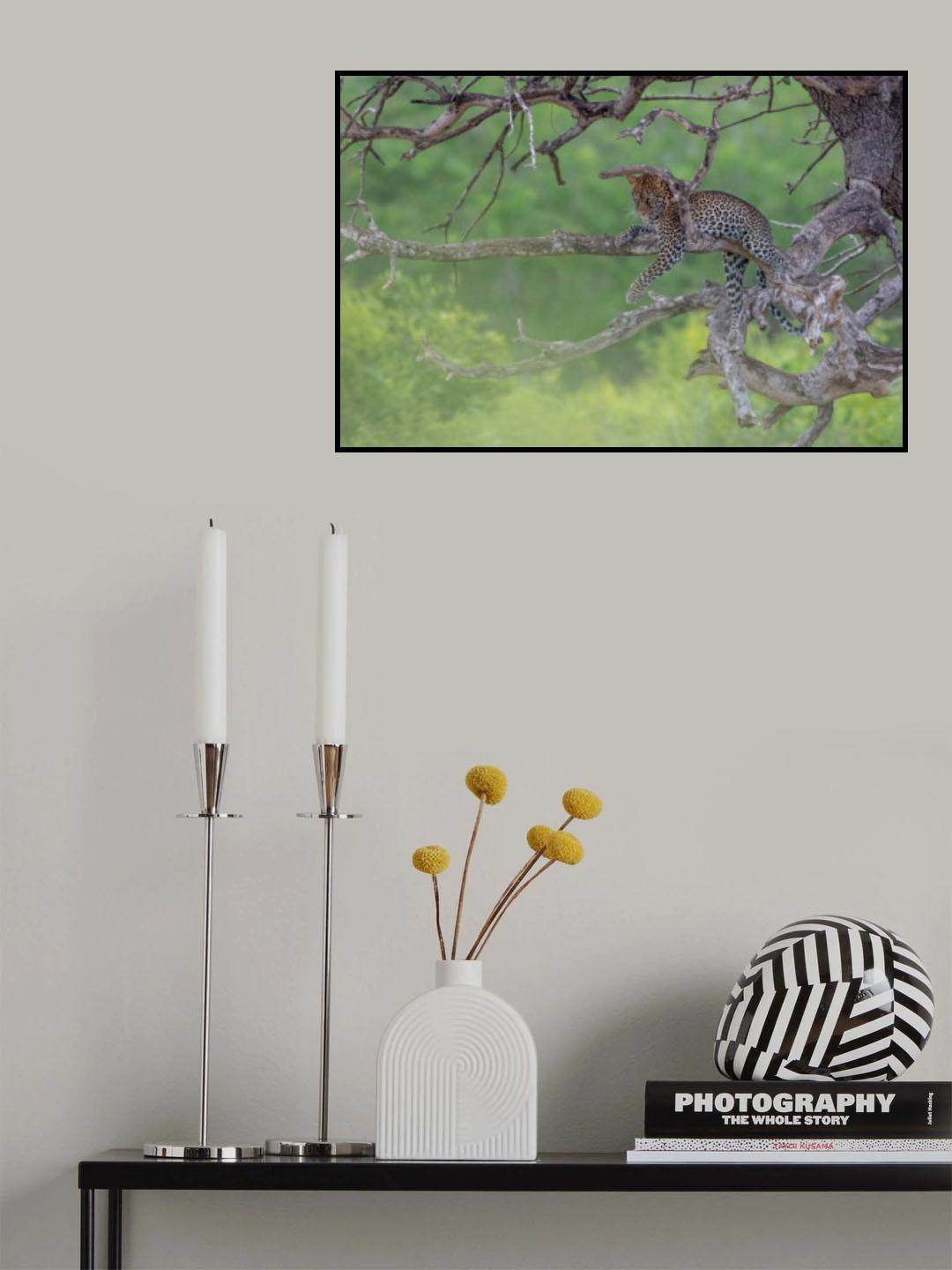 Leopard in Green Poster och Canvastavla