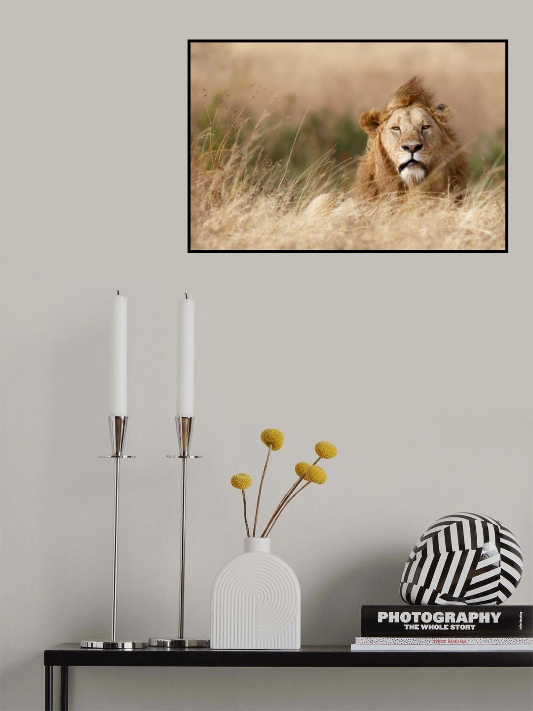 Handsome! Poster och Canvastavla