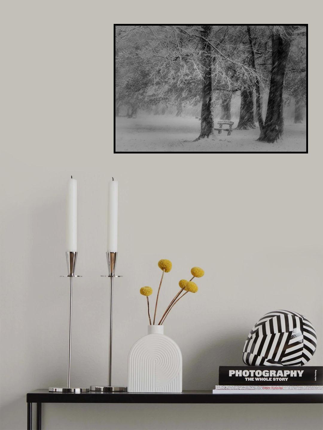 Transformation Poster och Canvastavla