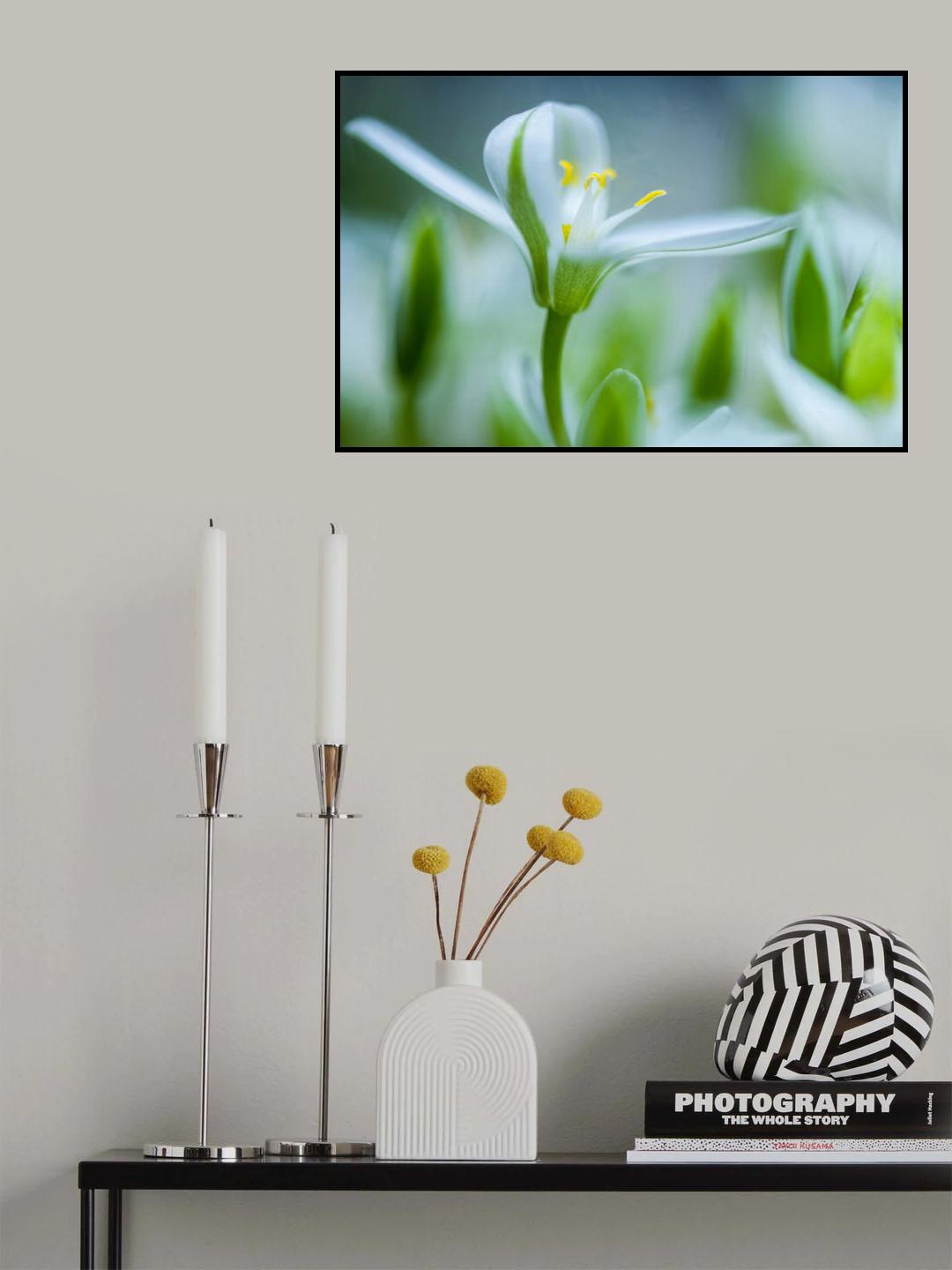 Emerging Poster och Canvastavla