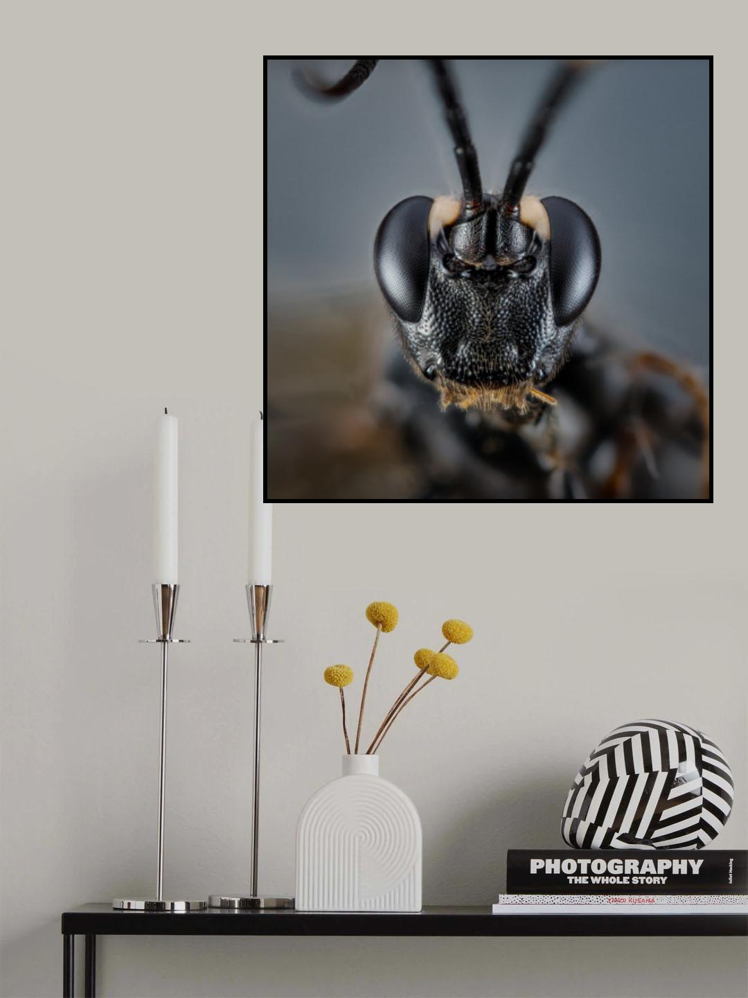 Cerambycidae I Poster och Canvastavla