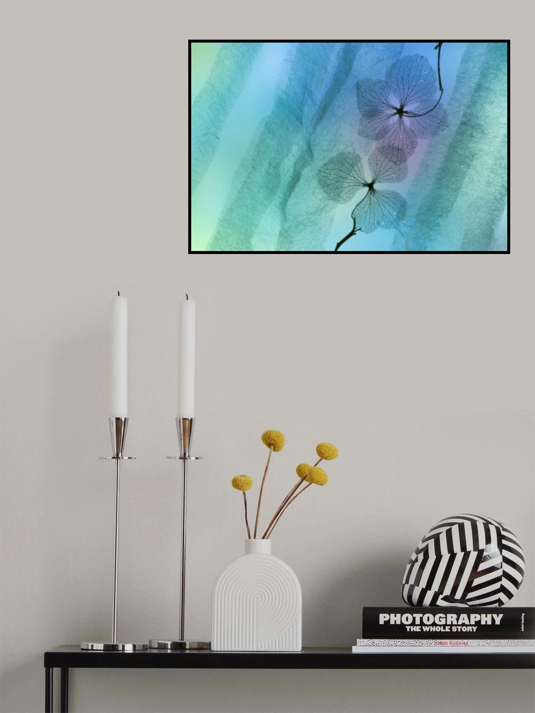 Hydrangea Poster och Canvastavla