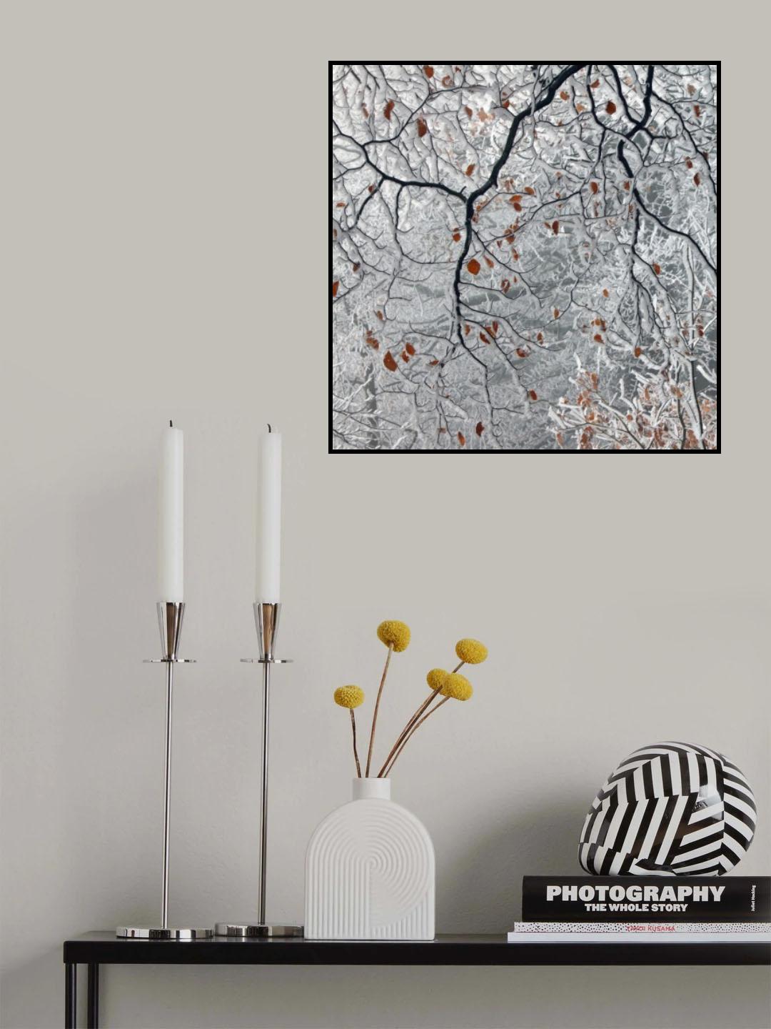 Last Leaves Poster och Canvastavla