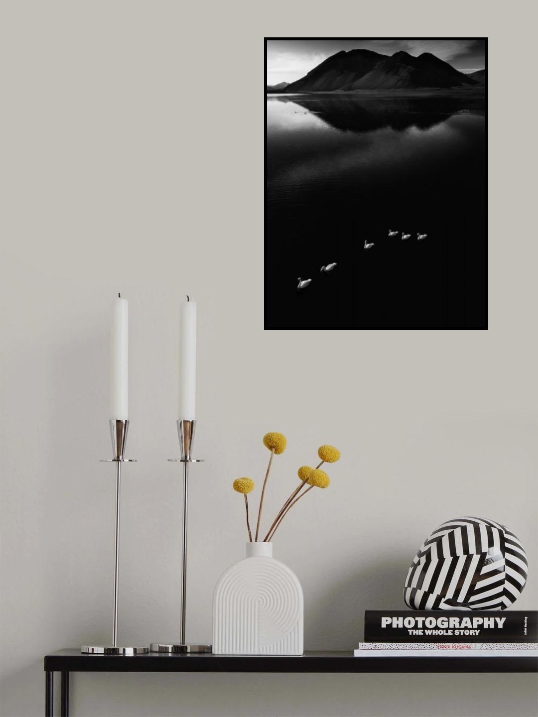 THE SWANS ON THE SEA Poster och Canvastavla