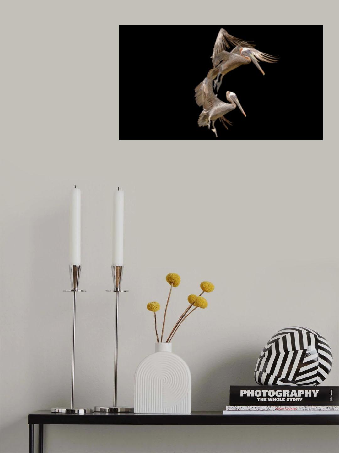 Duo aérien Poster och Canvastavla