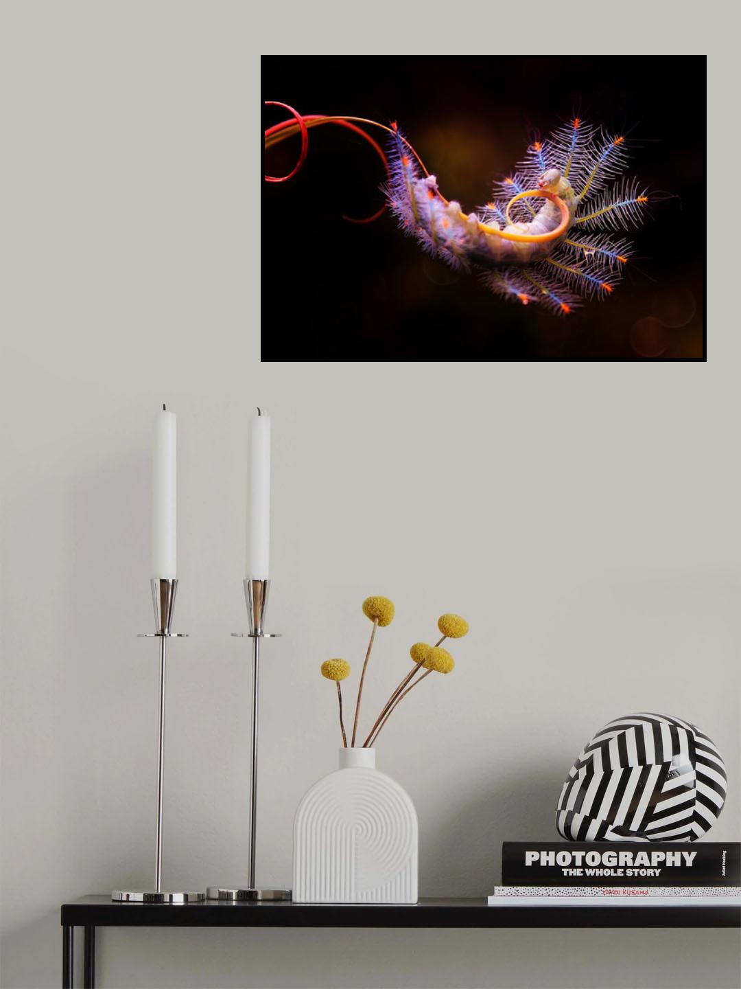 Acrobatic Caterpillar Poster och Canvastavla