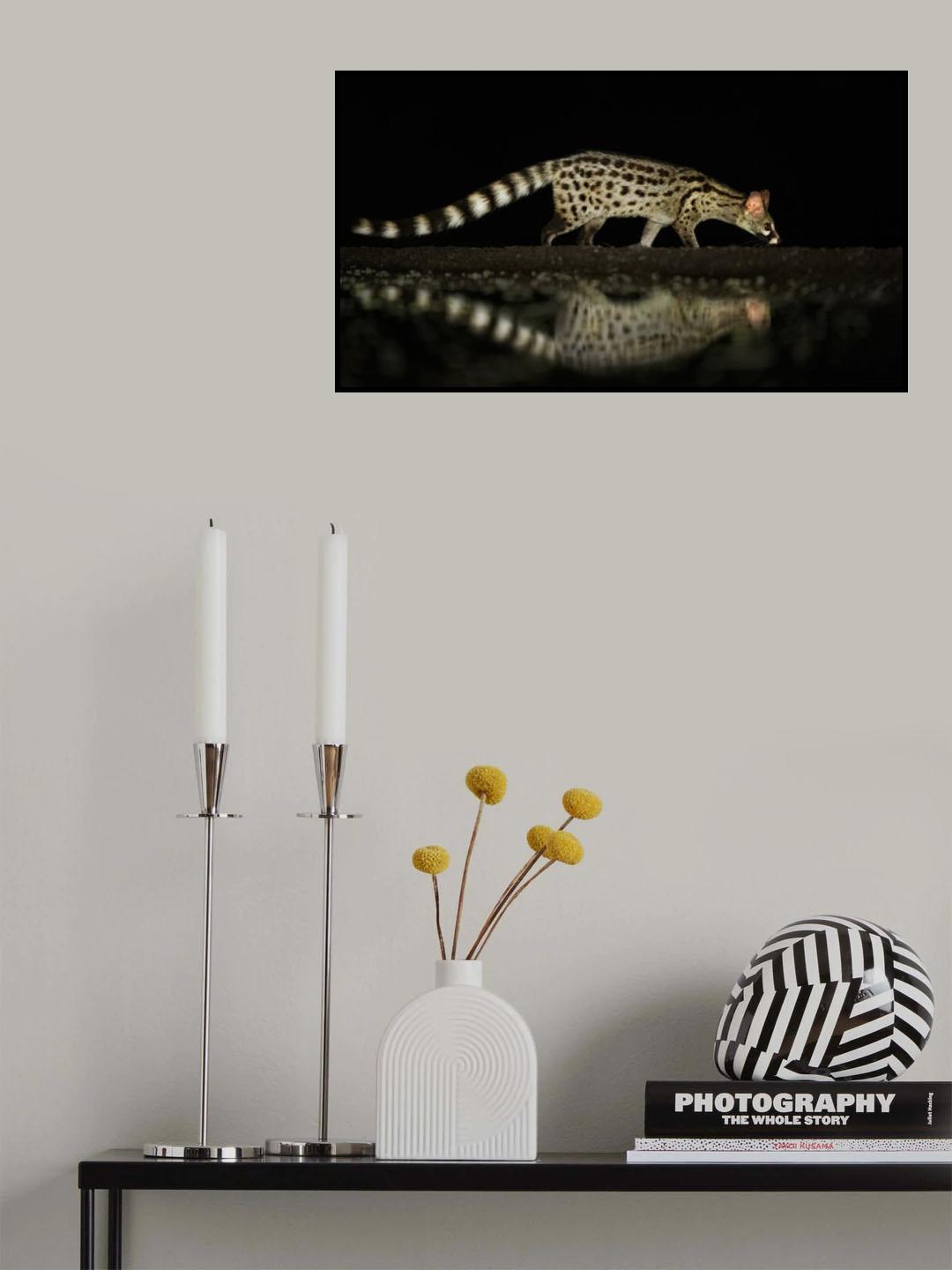 A beautiful Walker Poster och Canvastavla