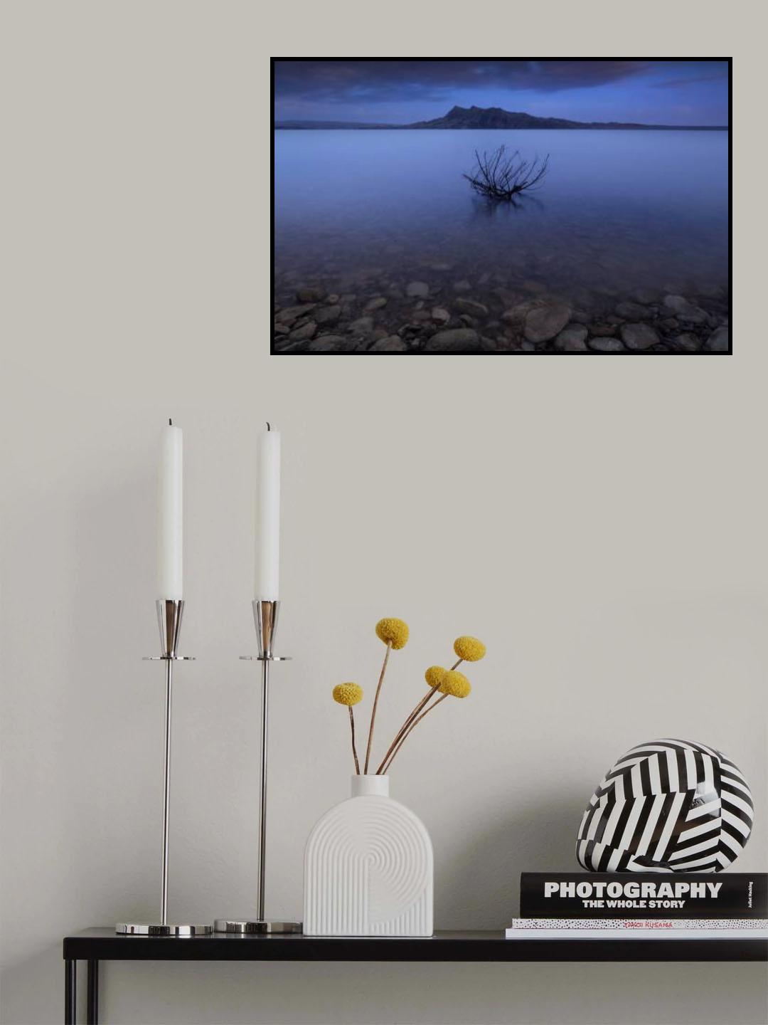 Silence Poster och Canvastavla