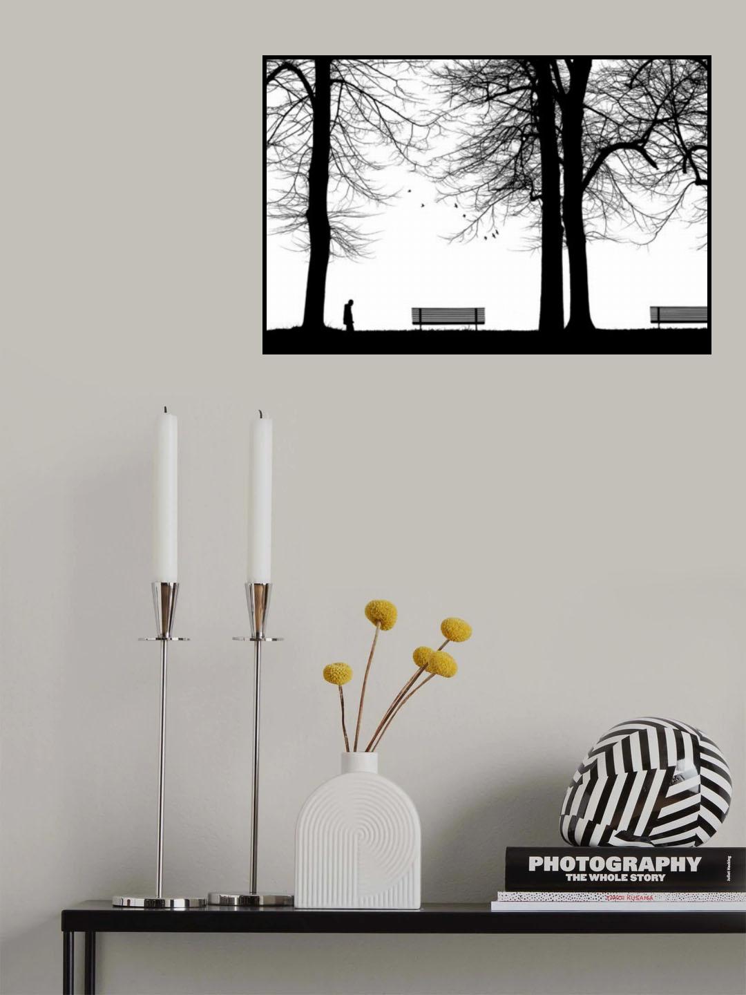 Solitudini 3 Poster och Canvastavla