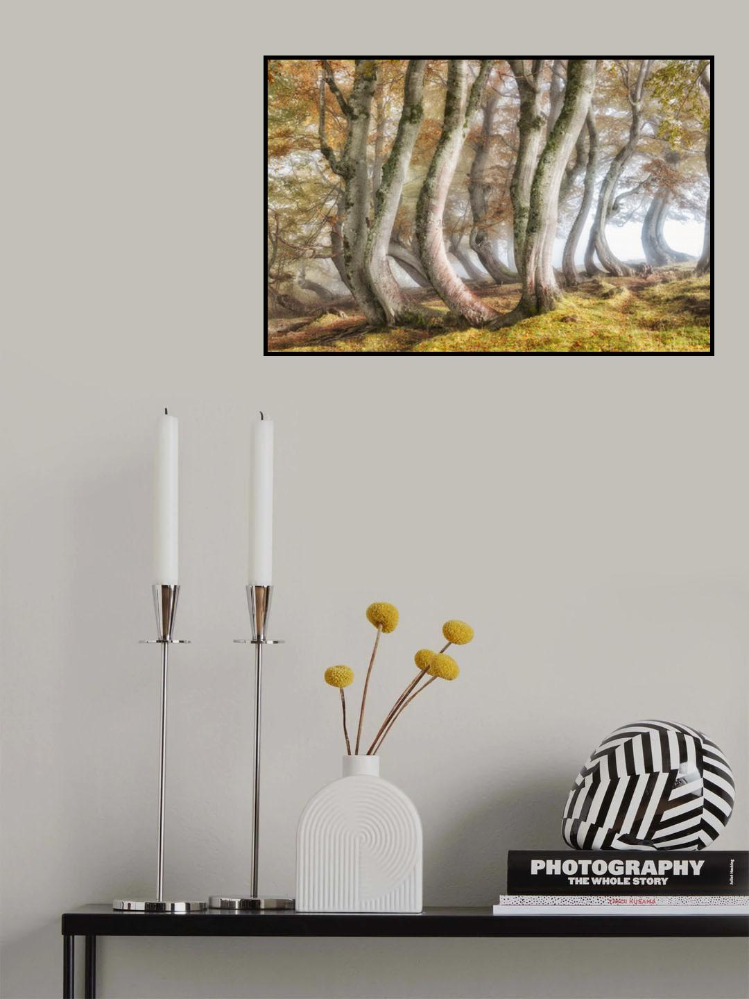 Bleeding beech trunks Poster och Canvastavla