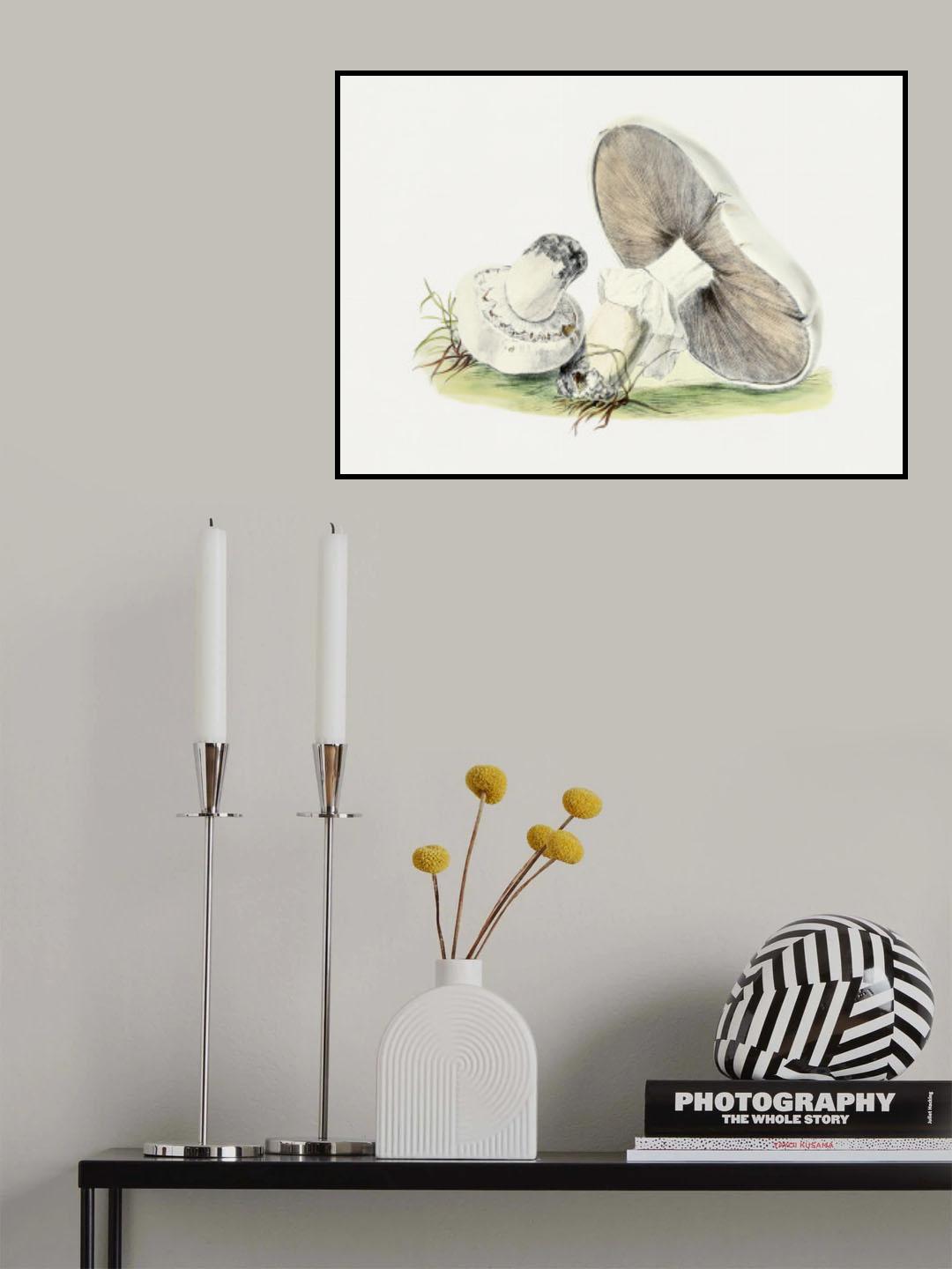 Hand Drawn Horse Mushroom Poster och Canvastavla