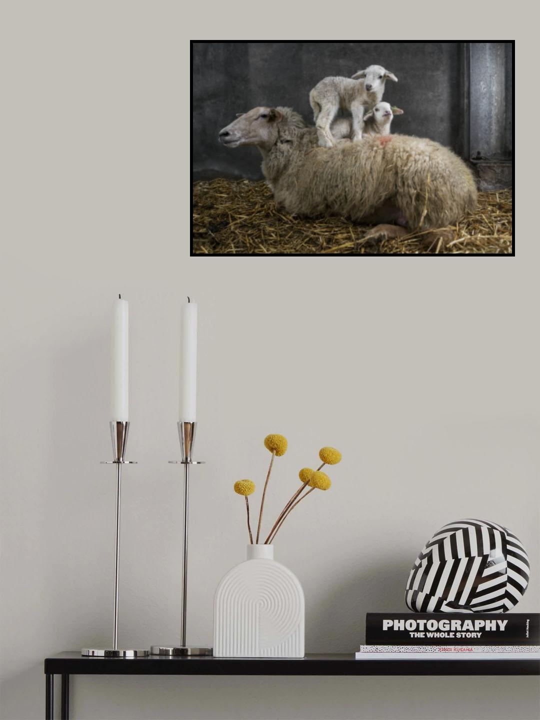 Soft Poster och Canvastavla
