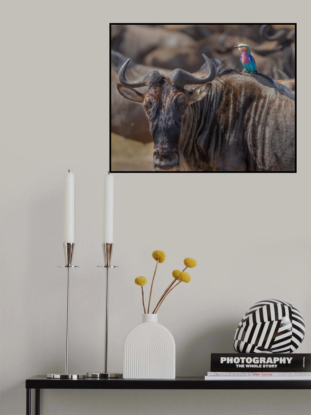 Beauty and Beest Poster och Canvastavla