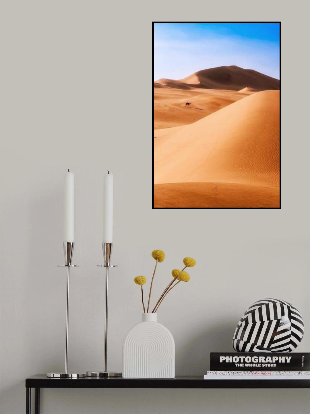 Camel in the dune maze Poster och Canvastavla