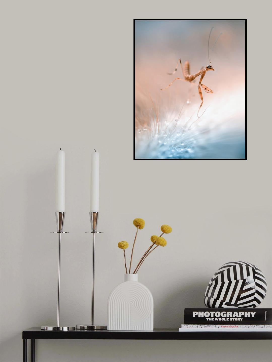 The Dancing Mantis Poster och Canvastavla
