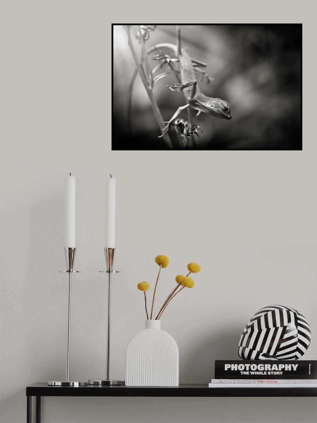 Bobo enjing-enjing Poster och Canvastavla