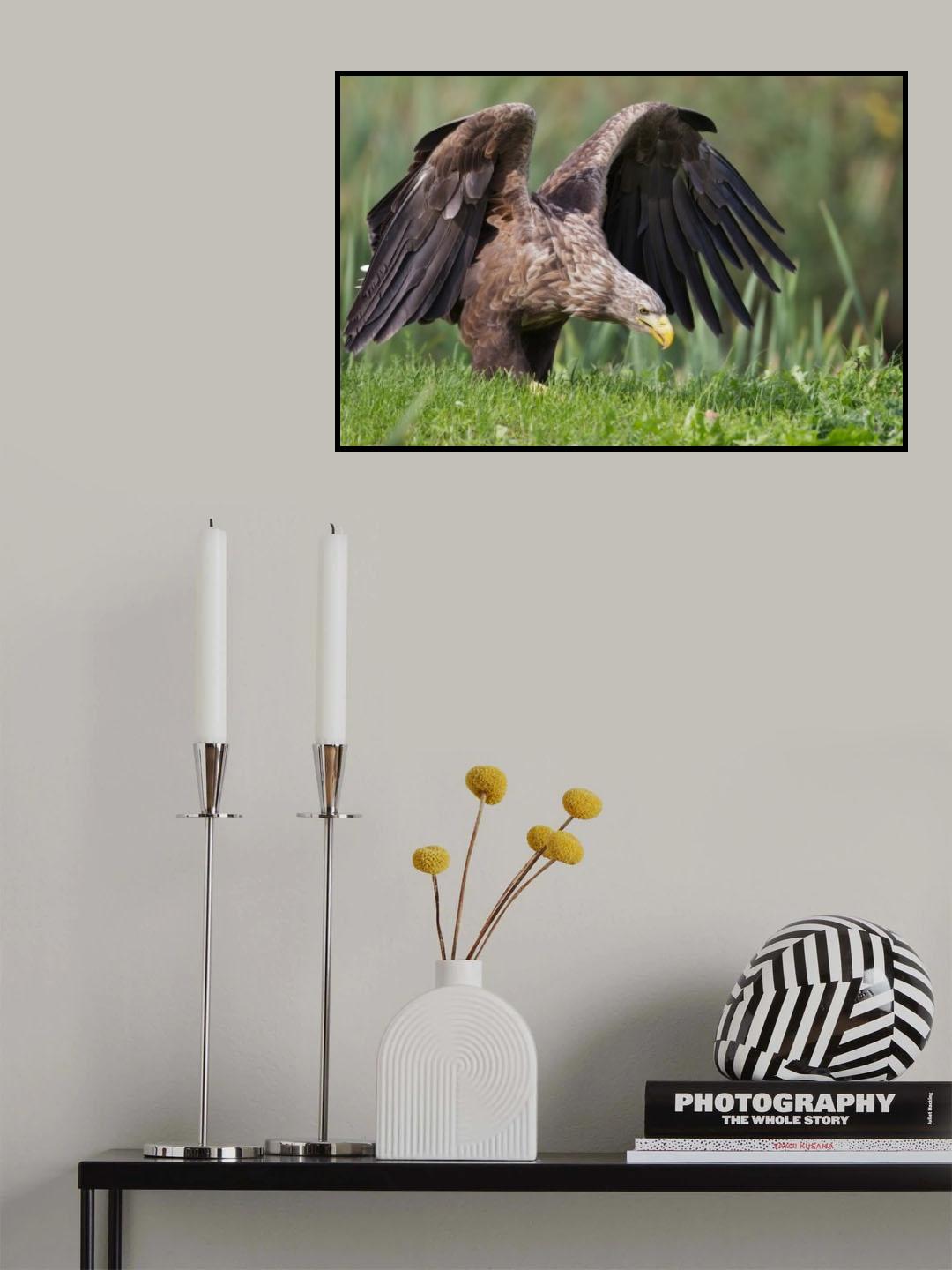 safe landing Poster och Canvastavla