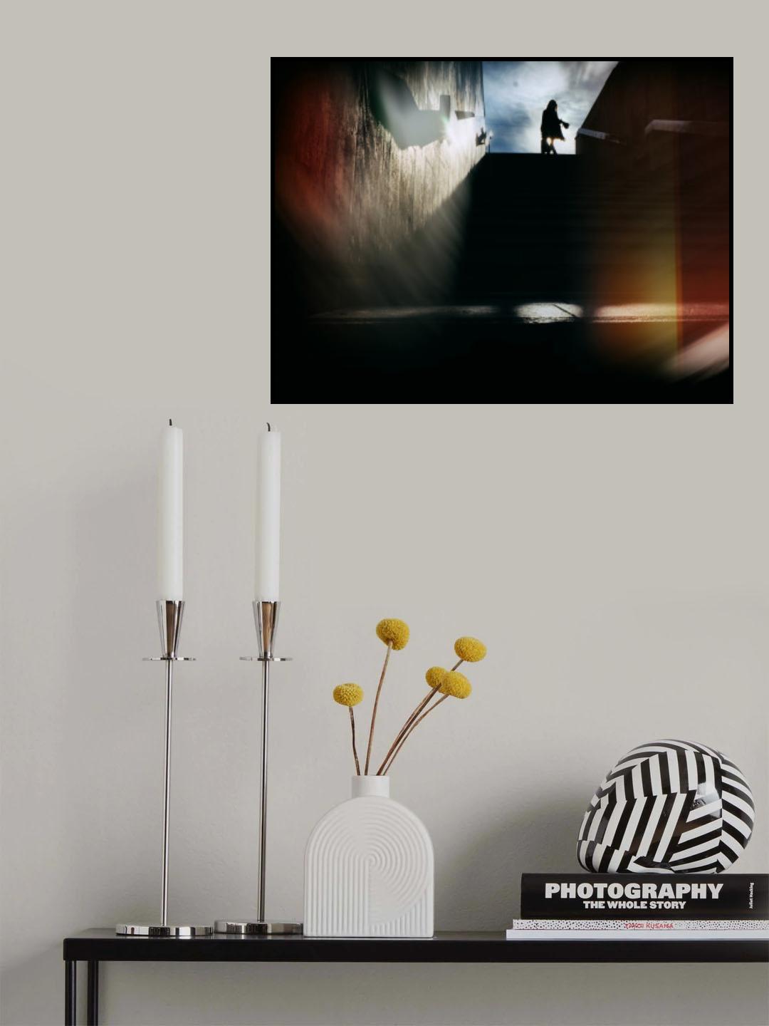 Lady In Black Poster och Canvastavla