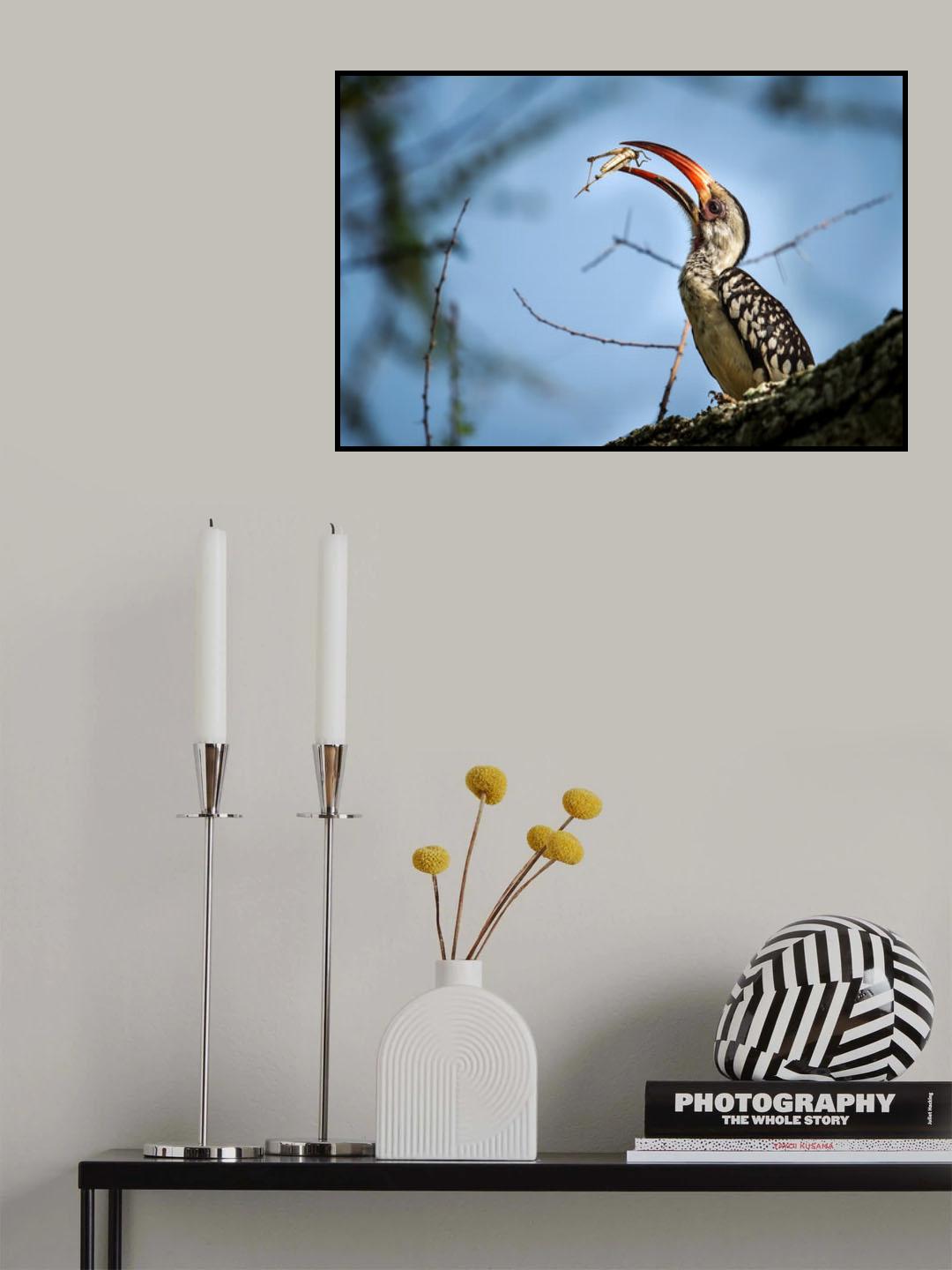 Delicacy Poster och Canvastavla