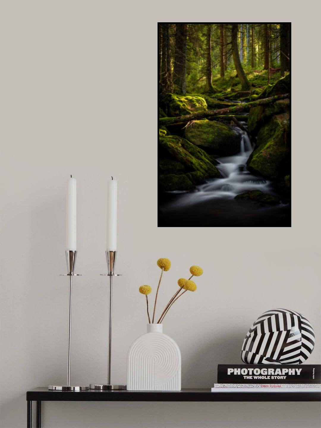 Entering my world of magic..... Poster och Canvastavla