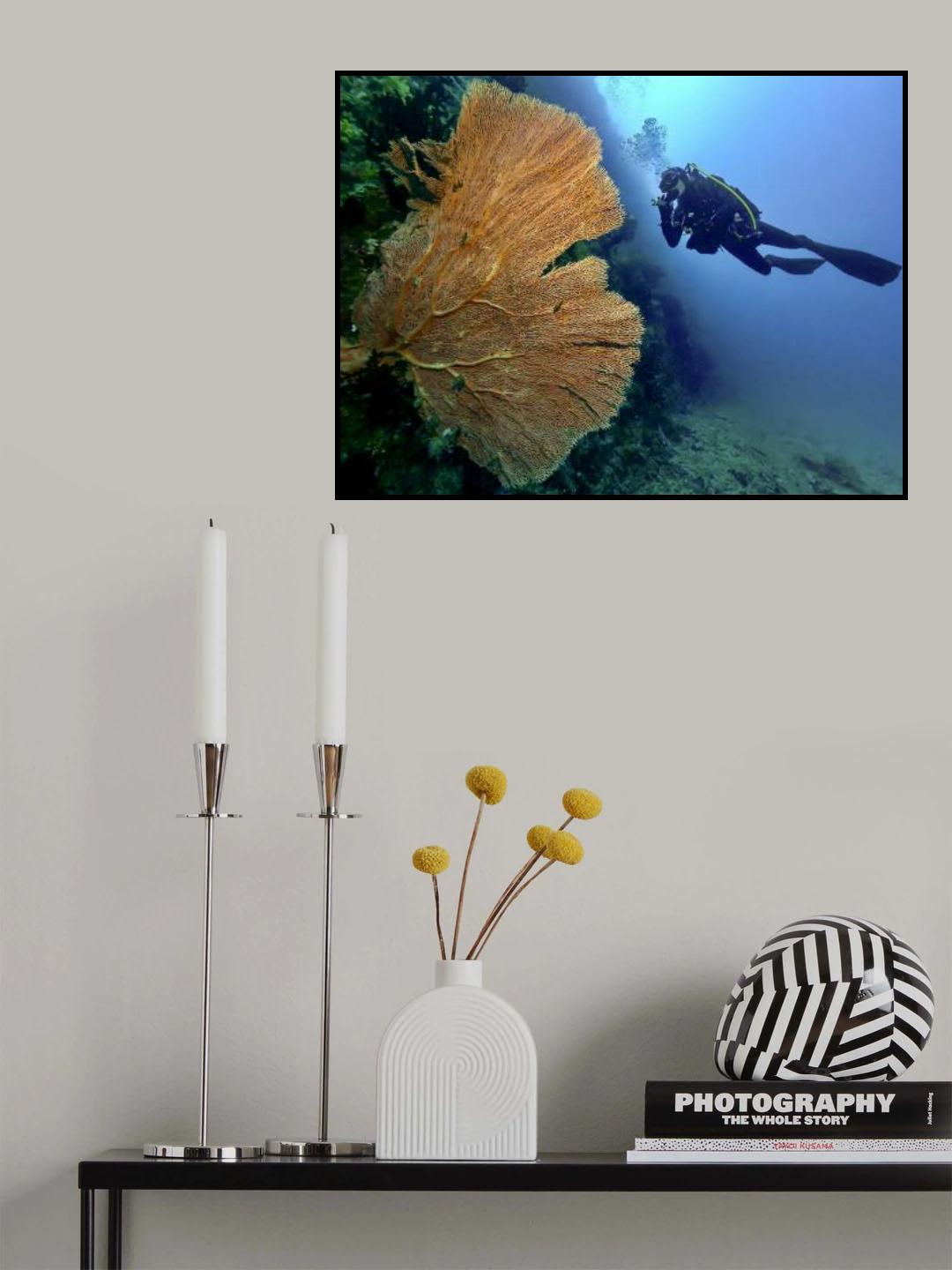 Into the deep Poster och Canvastavla