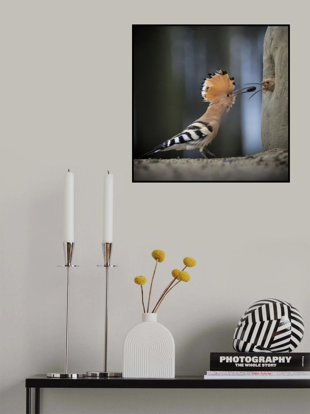 Feeding Poster och Canvastavla