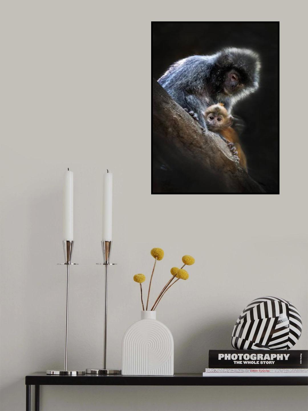 Gold Monkey Poster och Canvastavla