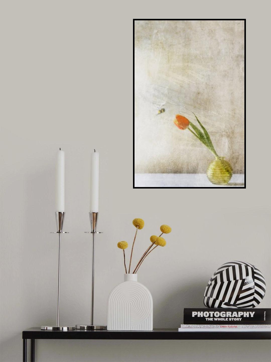 Law of Attraction Poster och Canvastavla