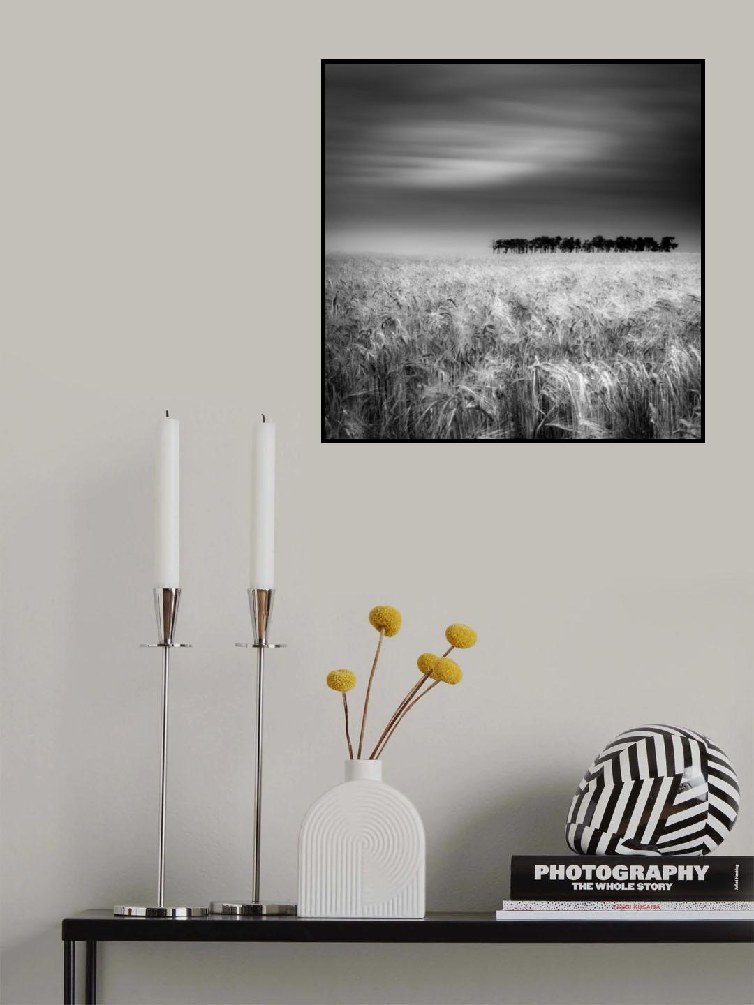 Tierra de pan Poster och Canvastavla