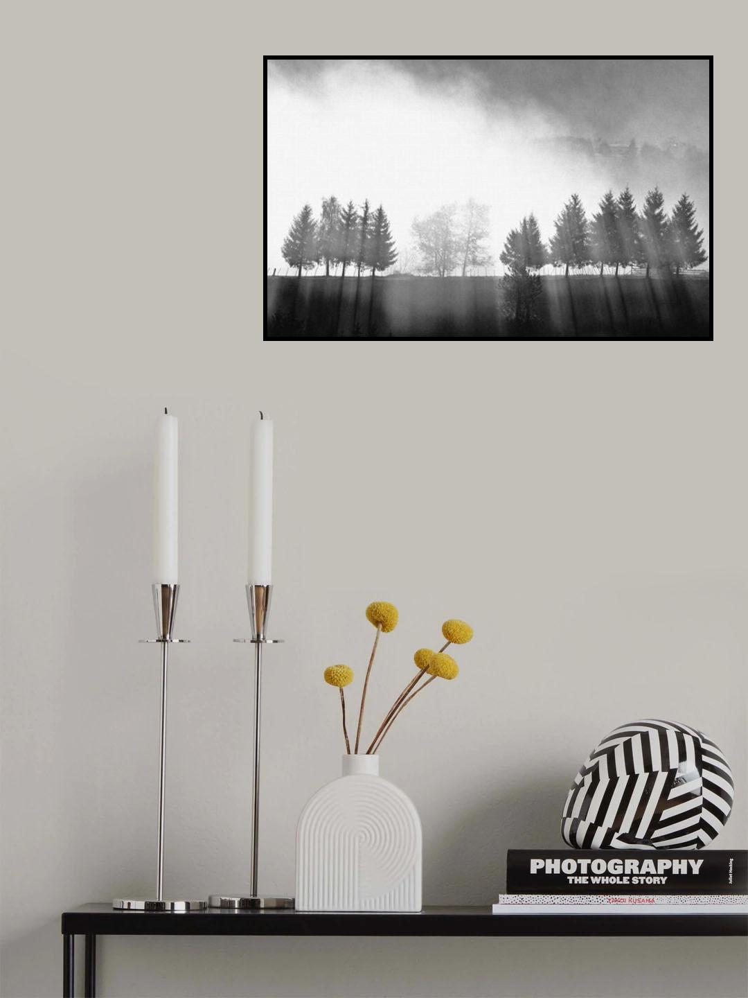 Traces of light Poster och Canvastavla