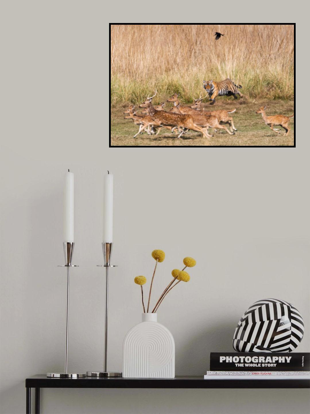 Hunter Poster och Canvastavla