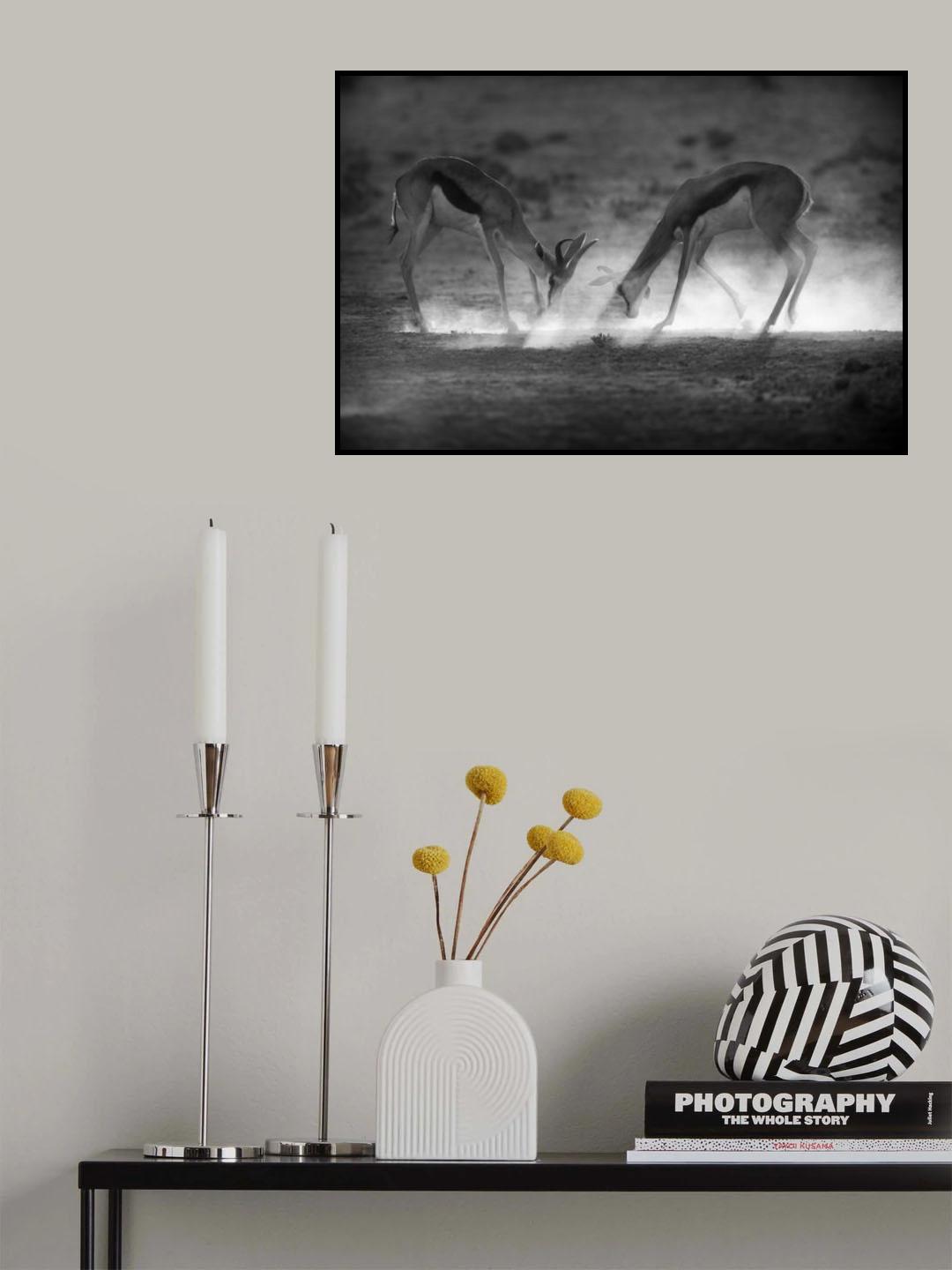 Battle in Black and White Poster och Canvastavla