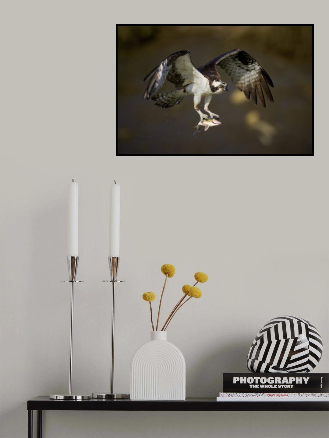 Big catch Poster och Canvastavla