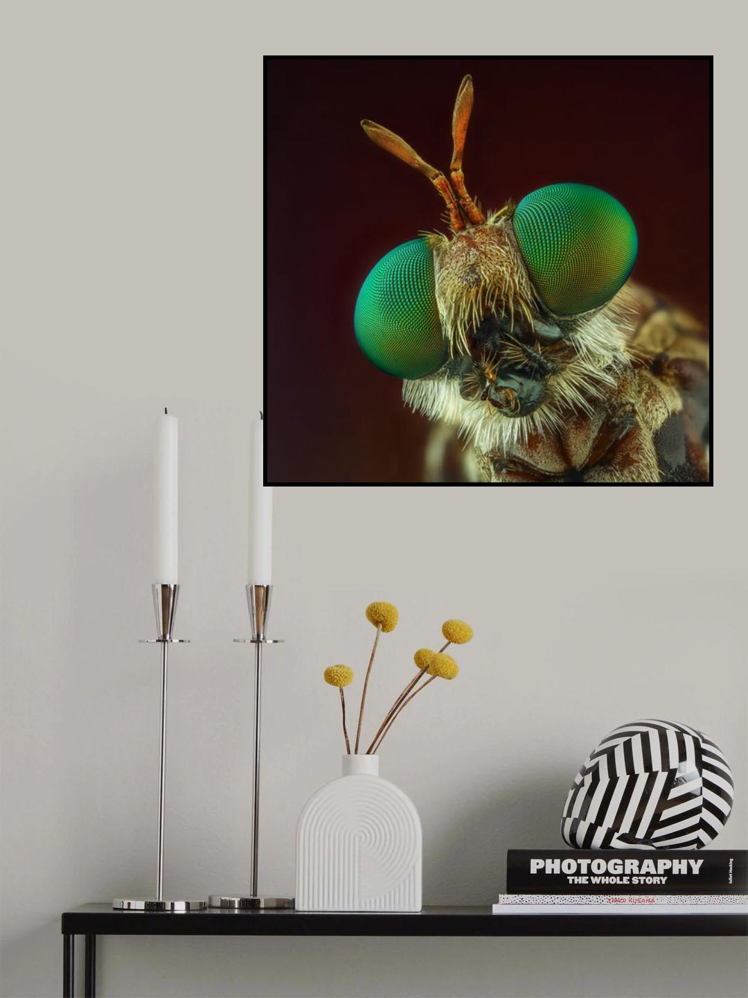 Robberfly Poster och Canvastavla