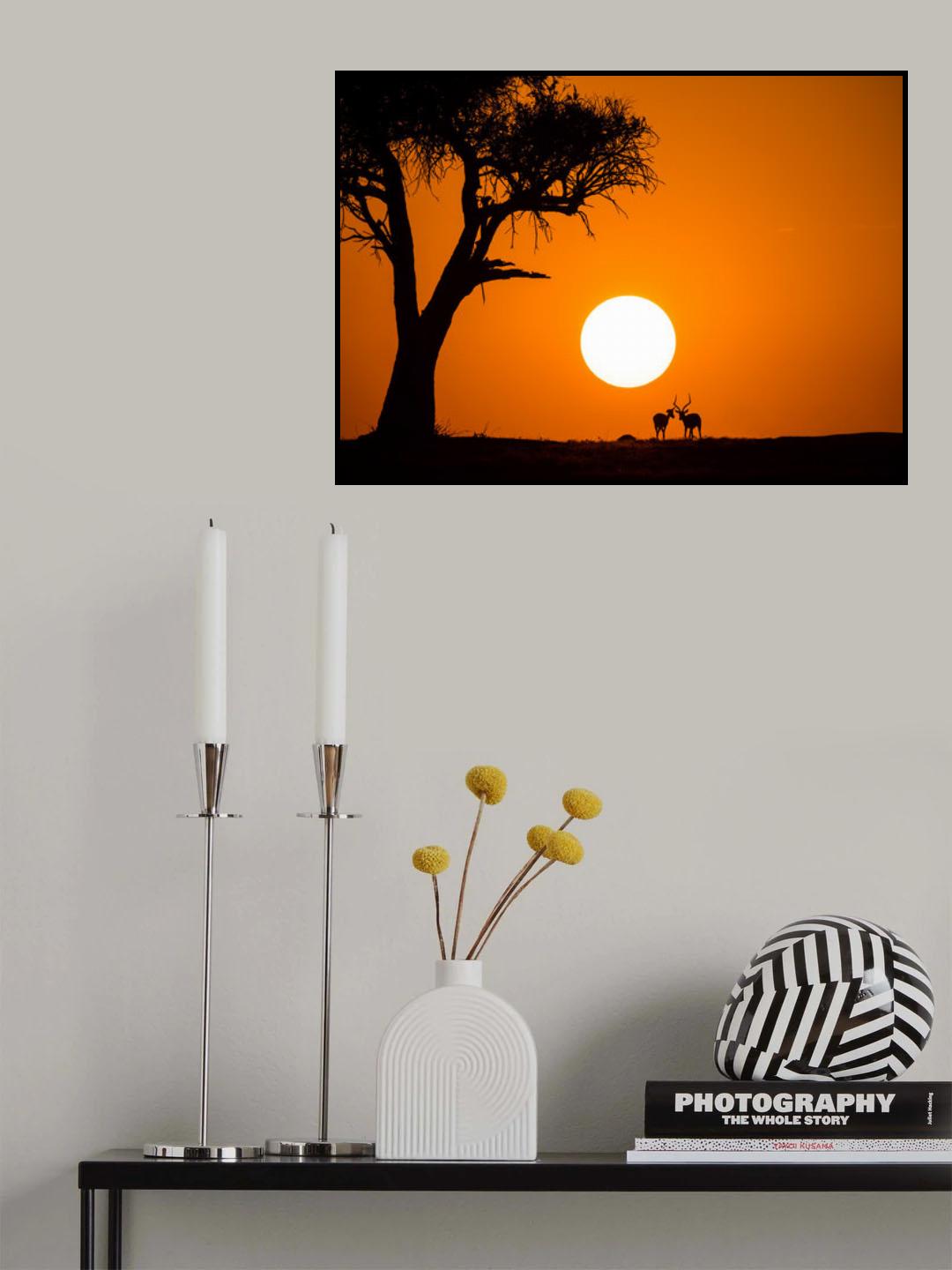 African Sunset Poster och Canvastavla