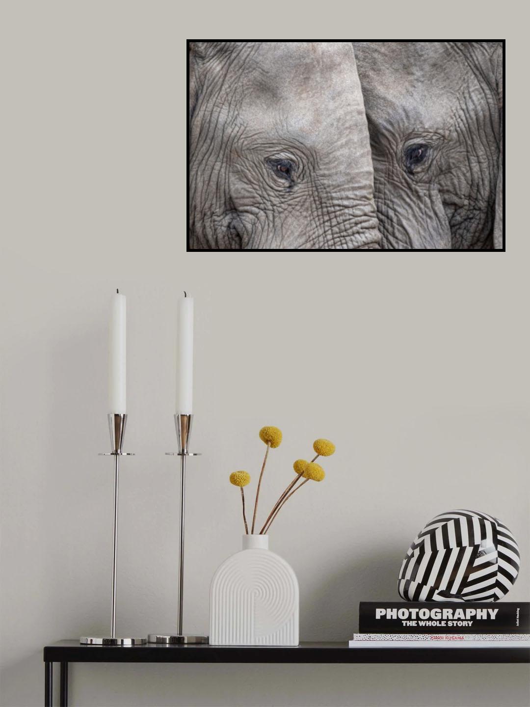 Face to Face Poster och Canvastavla