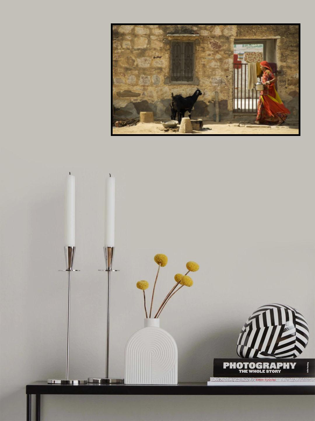 Rajasthani woman Poster och Canvastavla