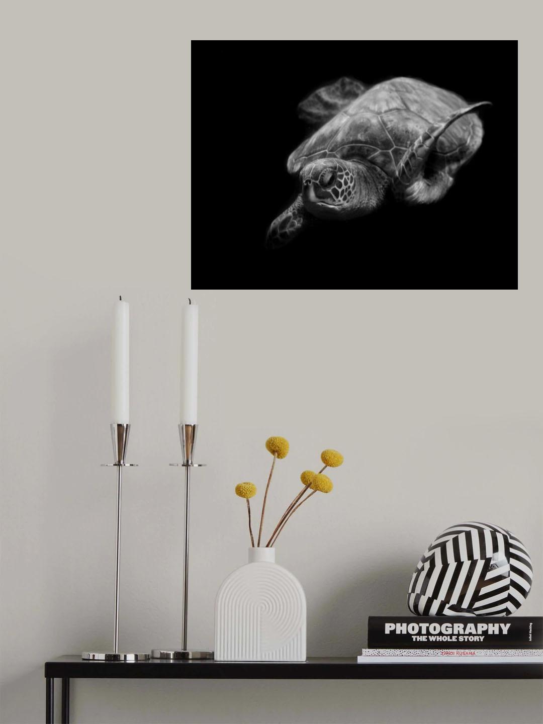 Portrait of a sea turtle in black and white Poster och Canvastavla