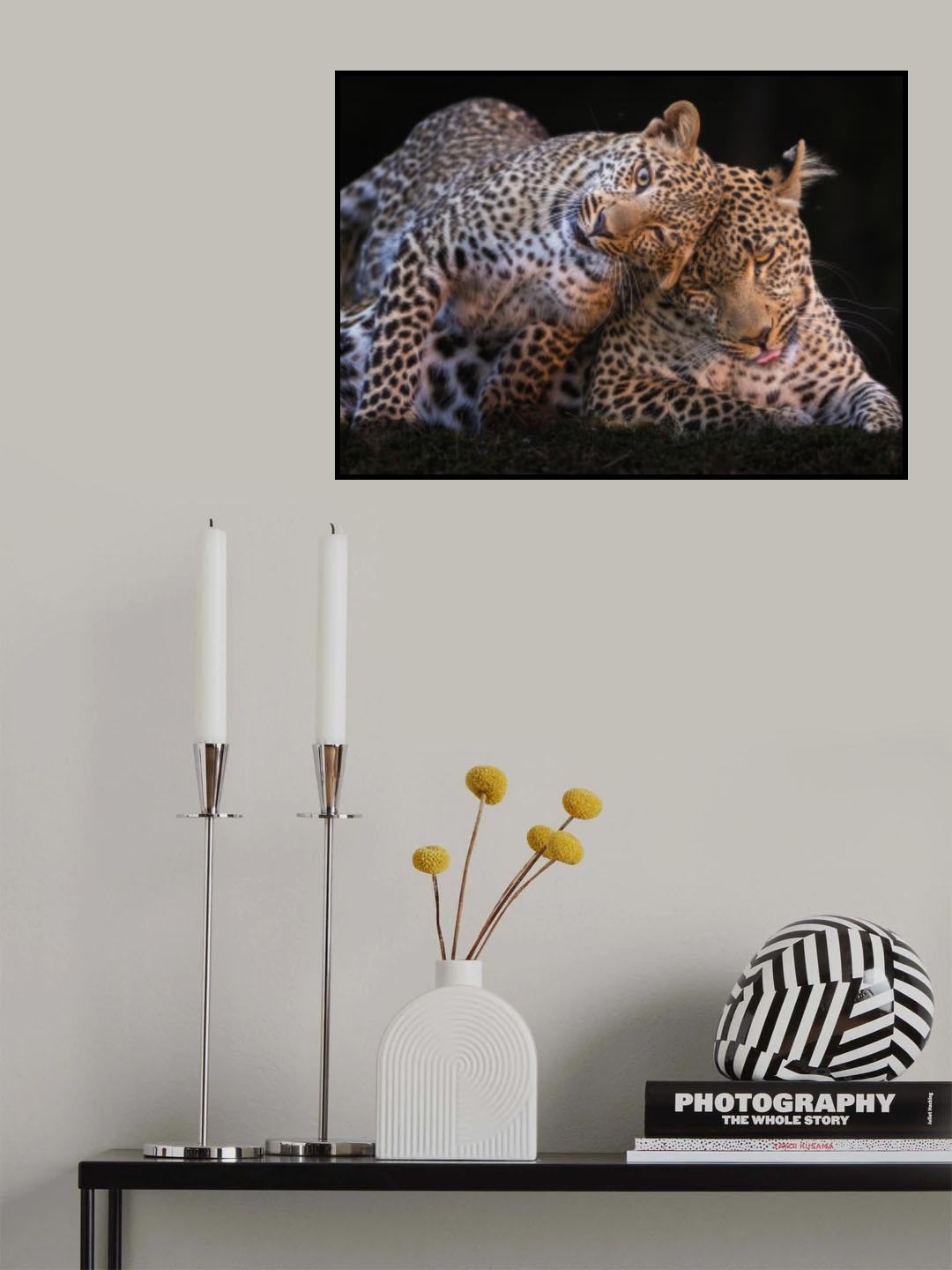 Bothering Mom Poster och Canvastavla
